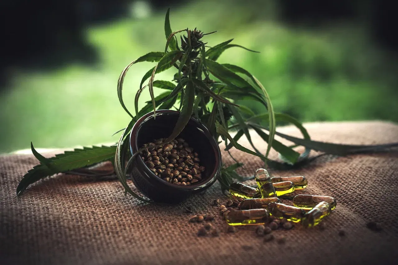 Eine Schale mit Hanfsamen, Cannabisblättern und gelben CBD-Ölkapseln ist auf einem Jutetuch arrangiert - perfekt für alle, die Wert auf Gesundheit legen und sich von Naturtrends in ihrem Alltag inspirieren lassen.