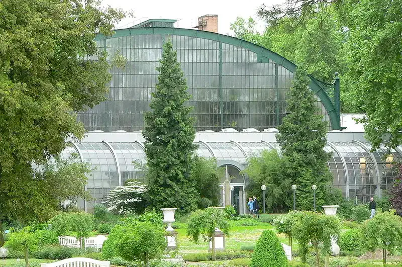 Inmitten der üppigen Gärten des Palmengartens steht ein großes Gewächshaus mit einem hohen, gewölbten Glasdach und einem grünen Gerüst. Hohe Bäume rahmen das Gebäude ein und rundherum wachsen verschiedene Pflanzen und Sträucher. Es gibt einen Gehweg und in der Nähe des Eingangs sind ein paar Leute zu sehen.