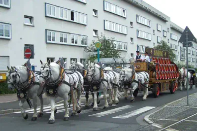 Ein Gespann weißer Pferde zieht einen Holzwagen, der mit Bierfässern beladen ist. Der wunderschön dekorierte Wagen, der von Menschen in traditioneller Kleidung gelenkt wird, sorgt für eine festliche Atmosphäre, während er durch eine Straße fährt, die im Hintergrund von modernen Gebäuden gesäumt ist.
