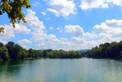 Ein ruhiger See, umgeben von üppigen grünen Bäumen an einem sonnigen Tag. Der Himmel ist mit vereinzelten Wolken bedeckt und in der oberen linken Ecke des Bildes ist teilweise Laub zu sehen. Das Wasser ist ruhig und spiegelt das Grün und den Himmel darüber wider.