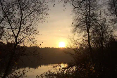 Ein heiterer Sonnenaufgang über einem ruhigen See, wobei die Sonne auf beiden Seiten teilweise von Bäumen verdeckt wird. Der Himmel ist eine Mischung aus warmen Goldtönen und sanften Pastelltönen. Kahle Äste rahmen die Szene ein und spiegeln sich im stillen Wasser darunter.