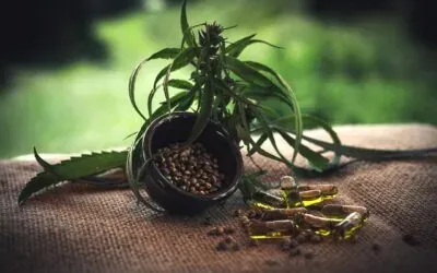 Gesundheit im Wandel: Wie neue Naturtrends unseren Alltag prägen