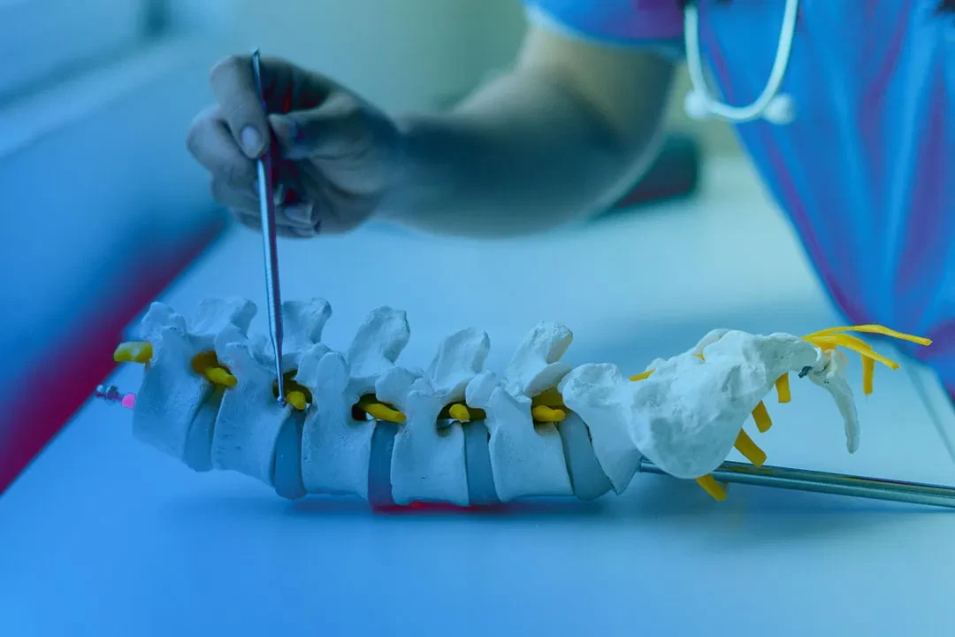 Ein Arzt, der einen Kittel und ein Stethoskop trägt, zeigt mit einem Metallwerkzeug auf einen Teil eines weißen Wirbelsäulenmodells und hebt dabei Wirbel und gelbe Nerven auf einem blau beleuchteten Tisch hervor.