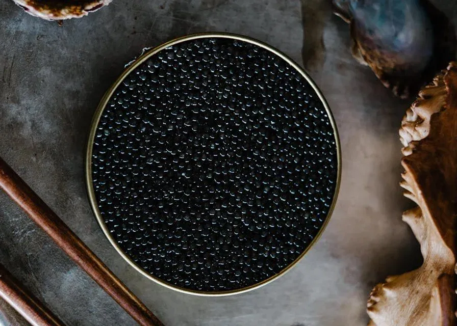 Eine runde Dose mit exquisiten Leckerbissen aus schwarzem Kaviar auf grauem Untergrund ist von braunen Champignons und hölzernen Essstäbchen umgeben. Das Bild scheint eine Nahaufnahme zu sein, die sich auf die Details dieser Gourmet-Köstlichkeit konzentriert.