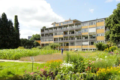 Das Naturmuseum Senckenberg ist ein großes Gebäude mit Fensterreihen, umgeben von Gärten voller verschiedener Pflanzen und Blumen an einem sonnigen Tag. Eine Person steht in der Mitte des Gartens, mit hohen Bäumen und einem bewölkten blauen Himmel im Hintergrund.